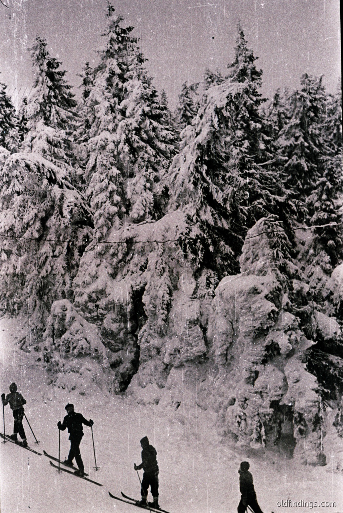 Vintage photograph