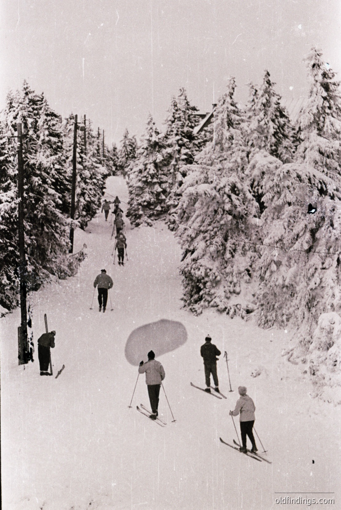Vintage photograph