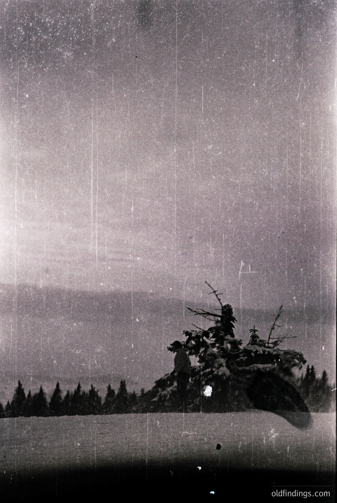 Vintage photograph