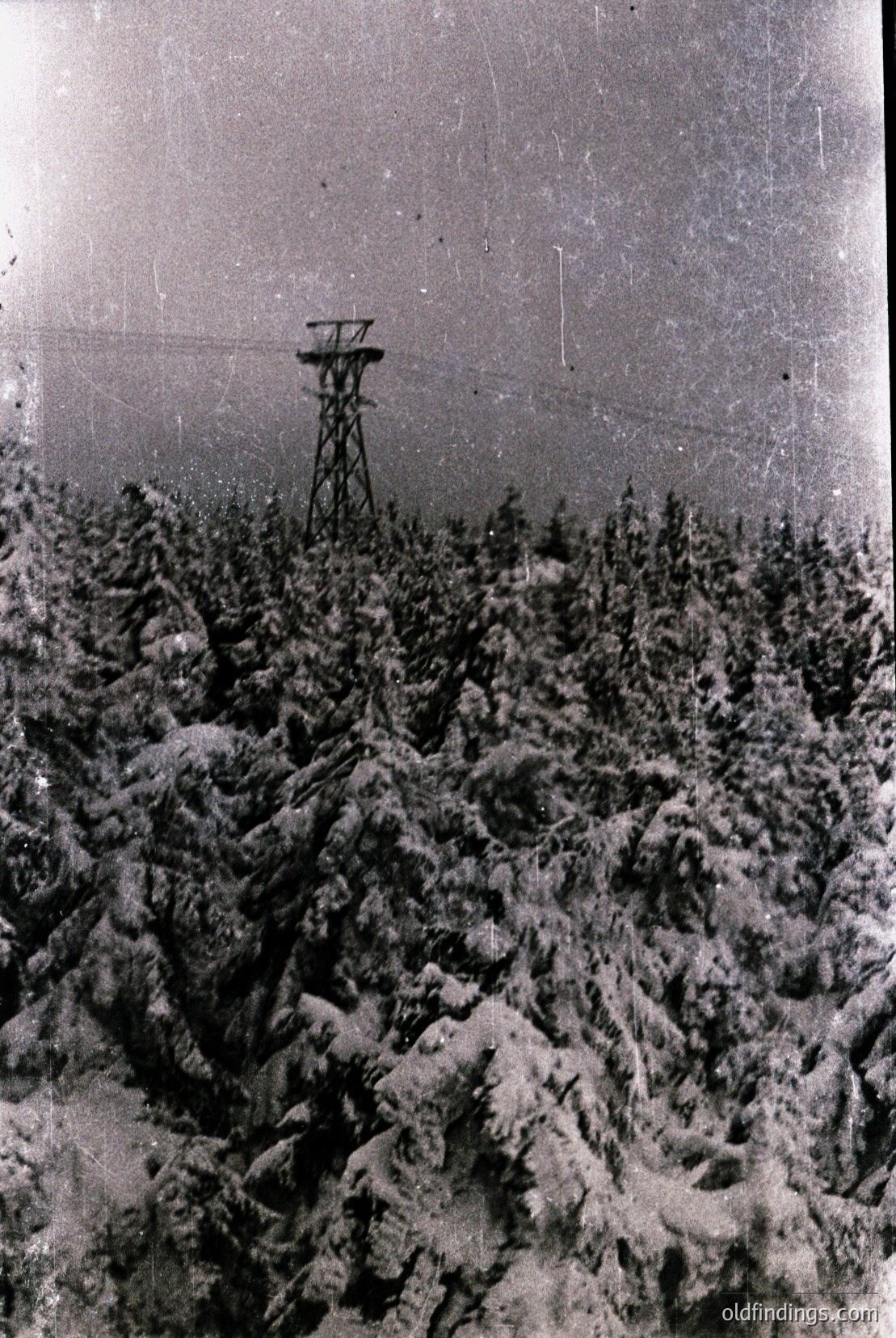 Vintage photograph