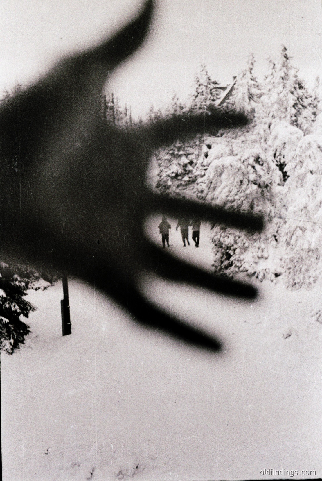 Vintage photograph