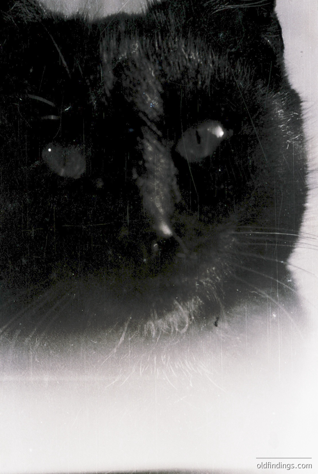 Vintage photograph