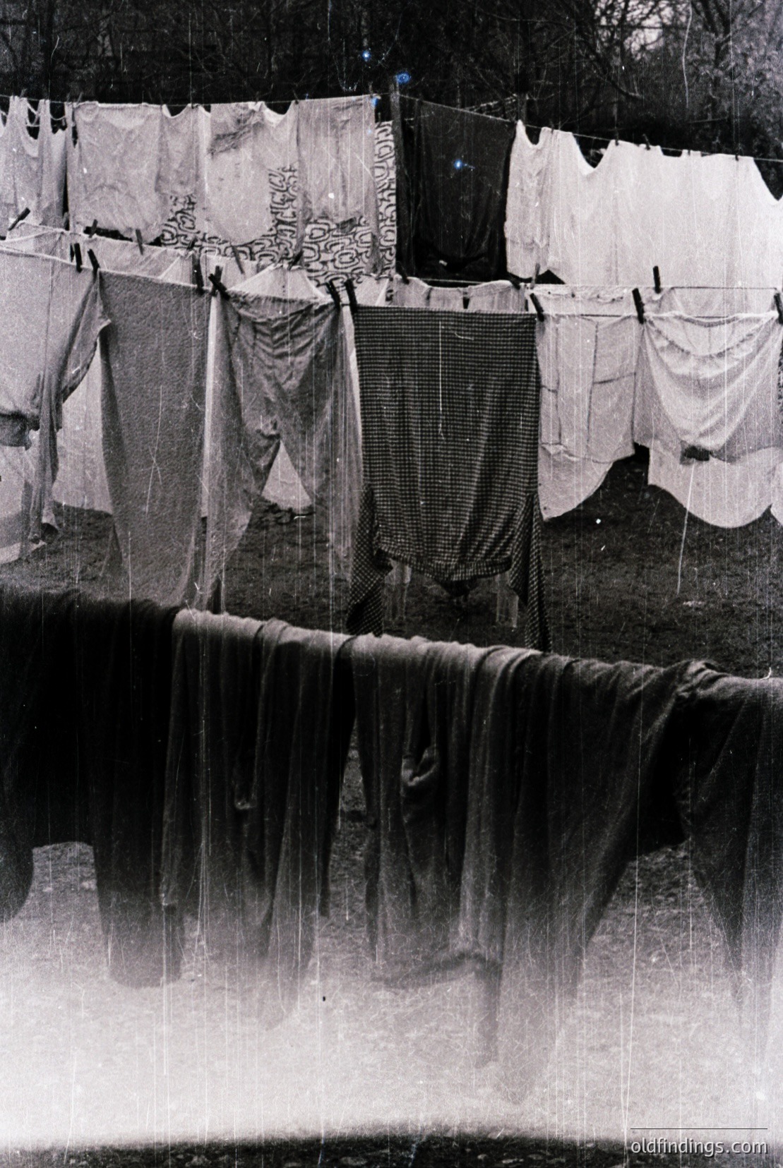 Vintage photograph