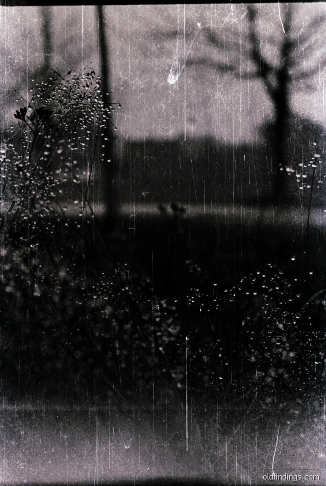 Vintage photograph