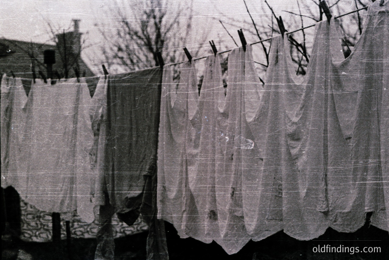 Vintage photograph