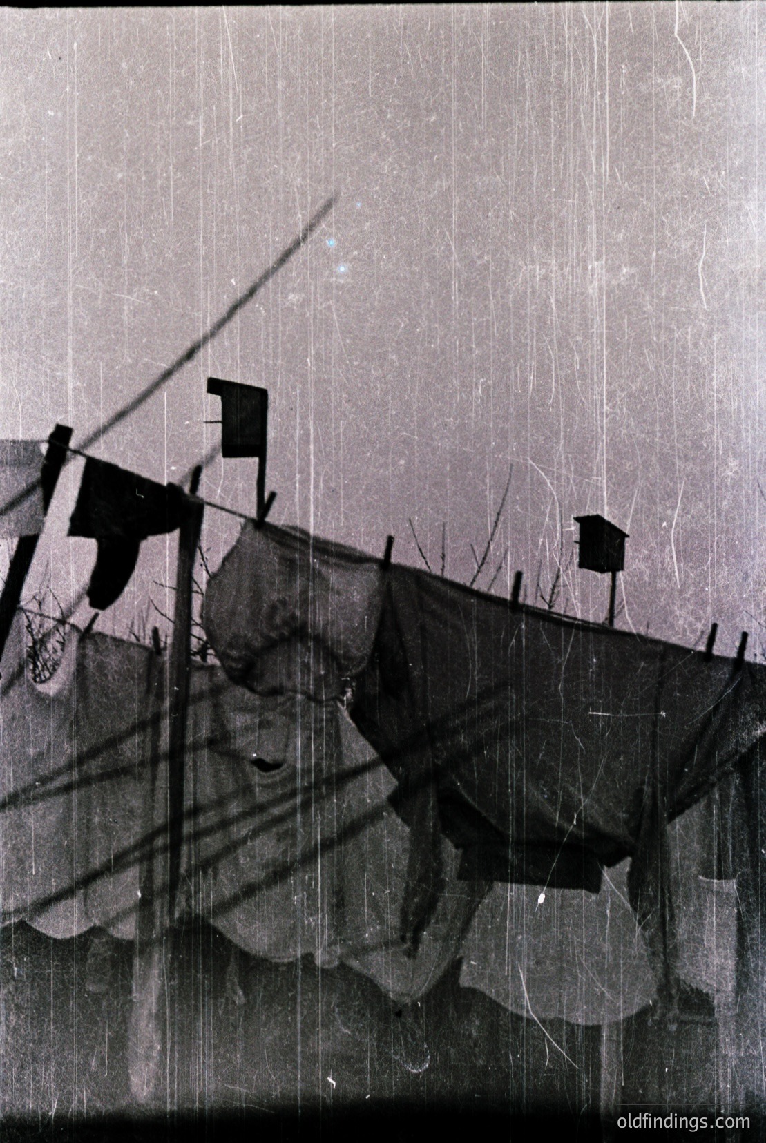 Vintage photograph