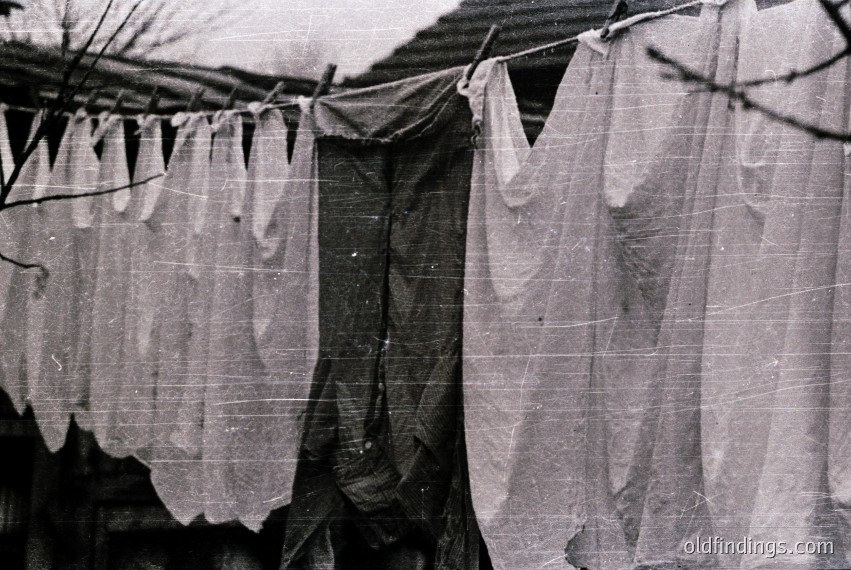 Vintage photograph