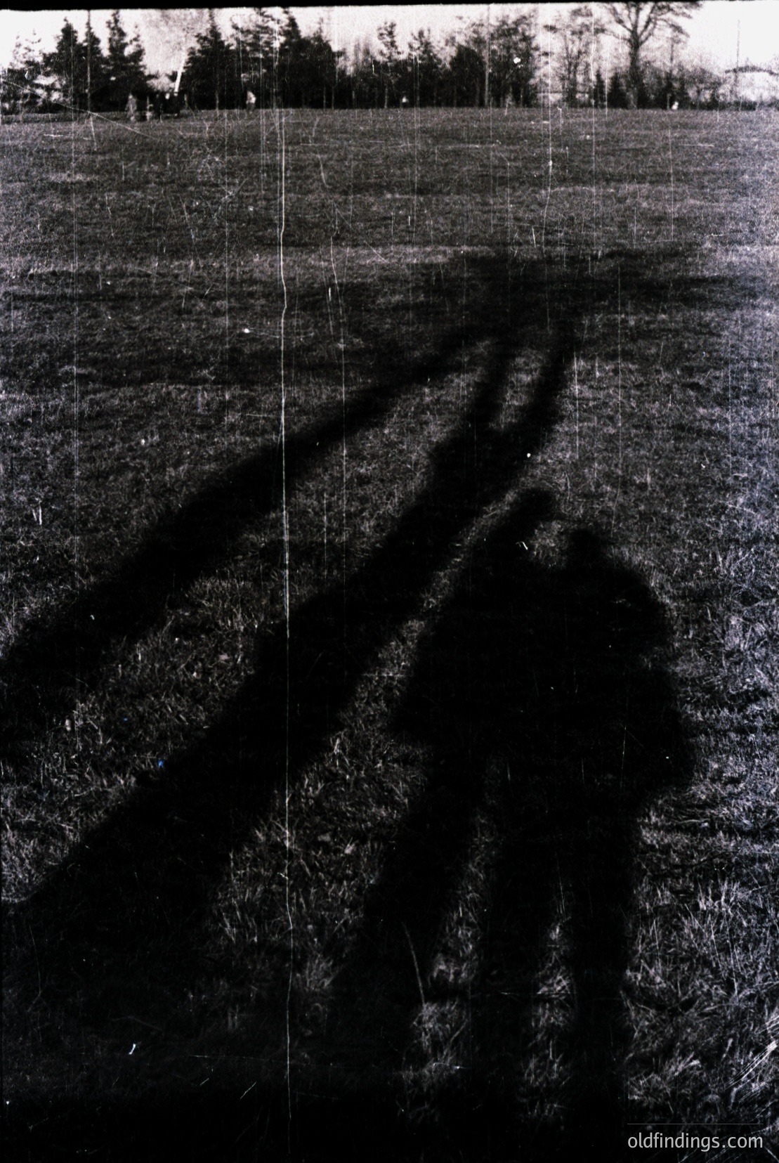 Vintage photograph