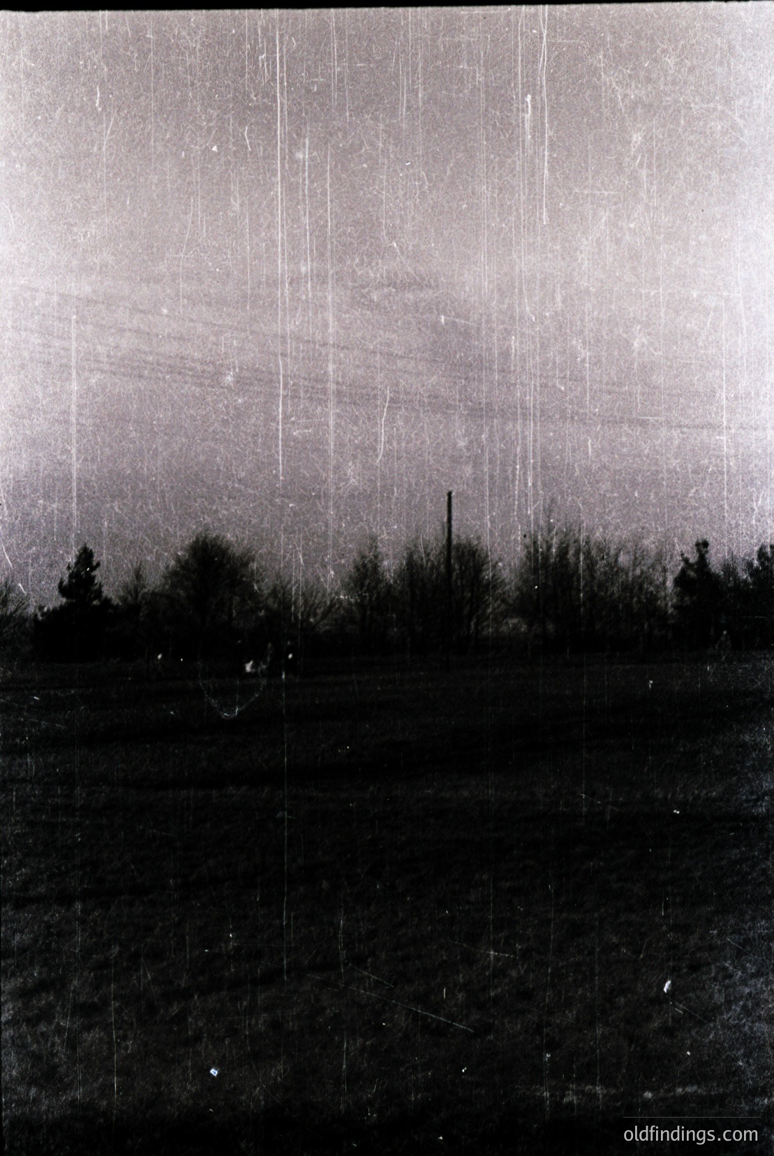 Vintage photograph