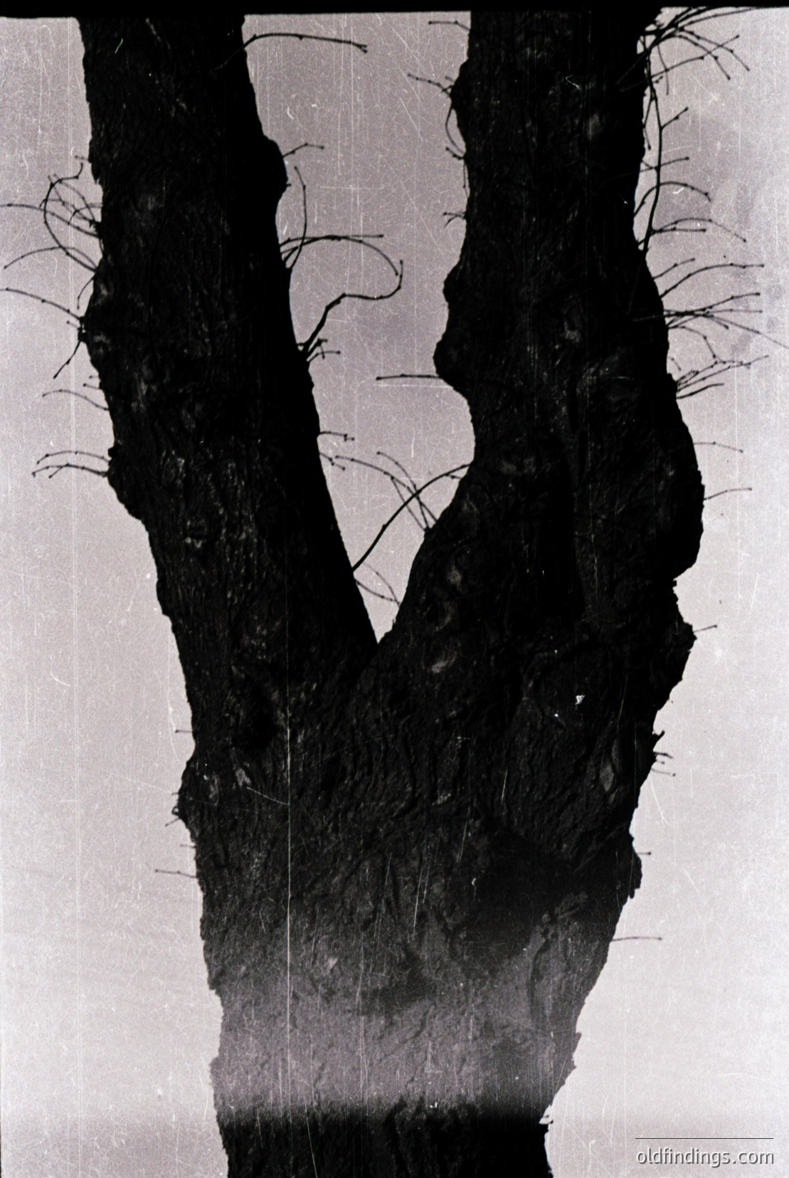 Vintage photograph