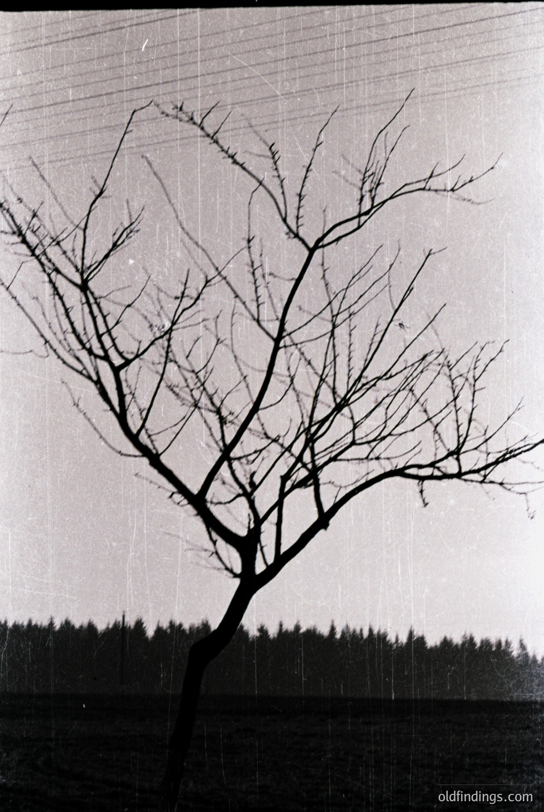 Vintage photograph