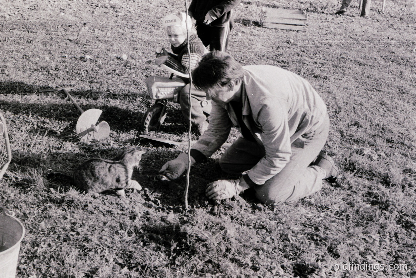 Vintage photograph