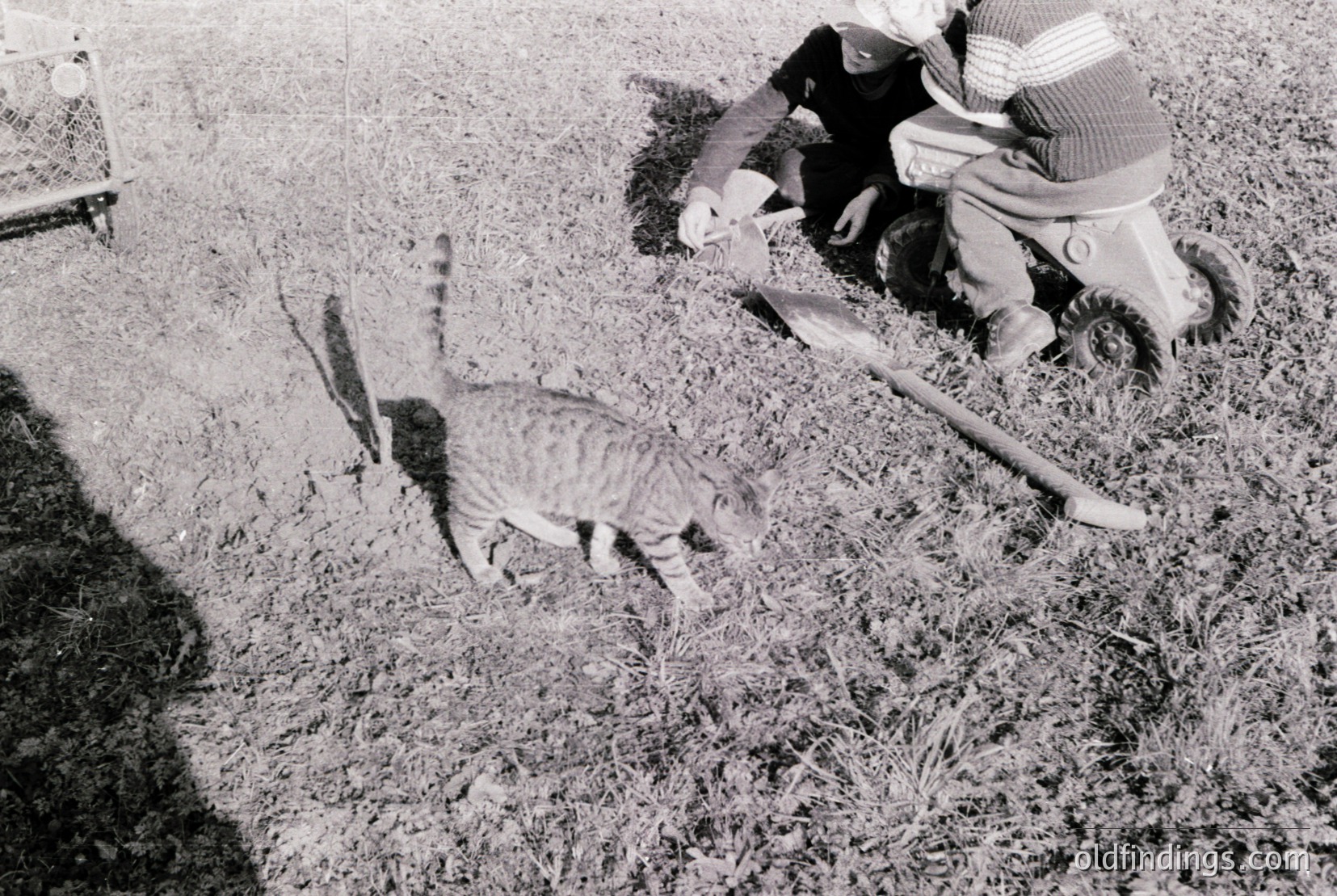 Vintage photograph