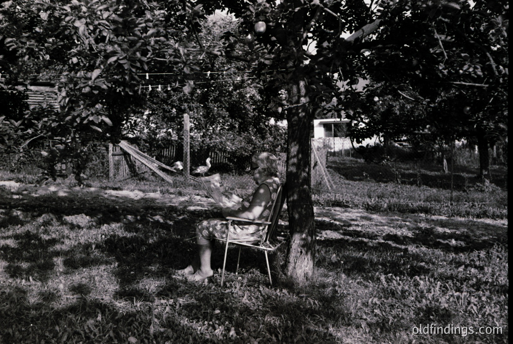Vintage photograph
