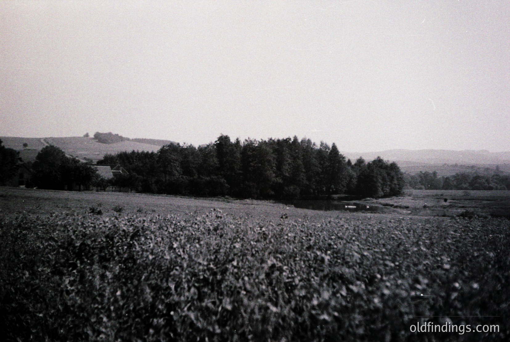 Vintage photograph