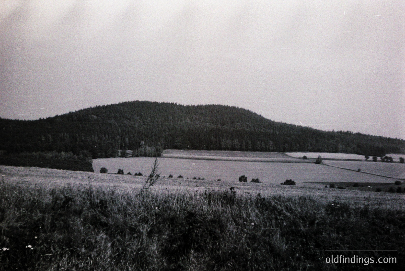 Vintage photograph