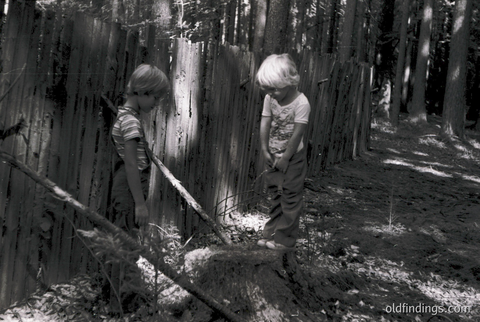 Vintage photograph