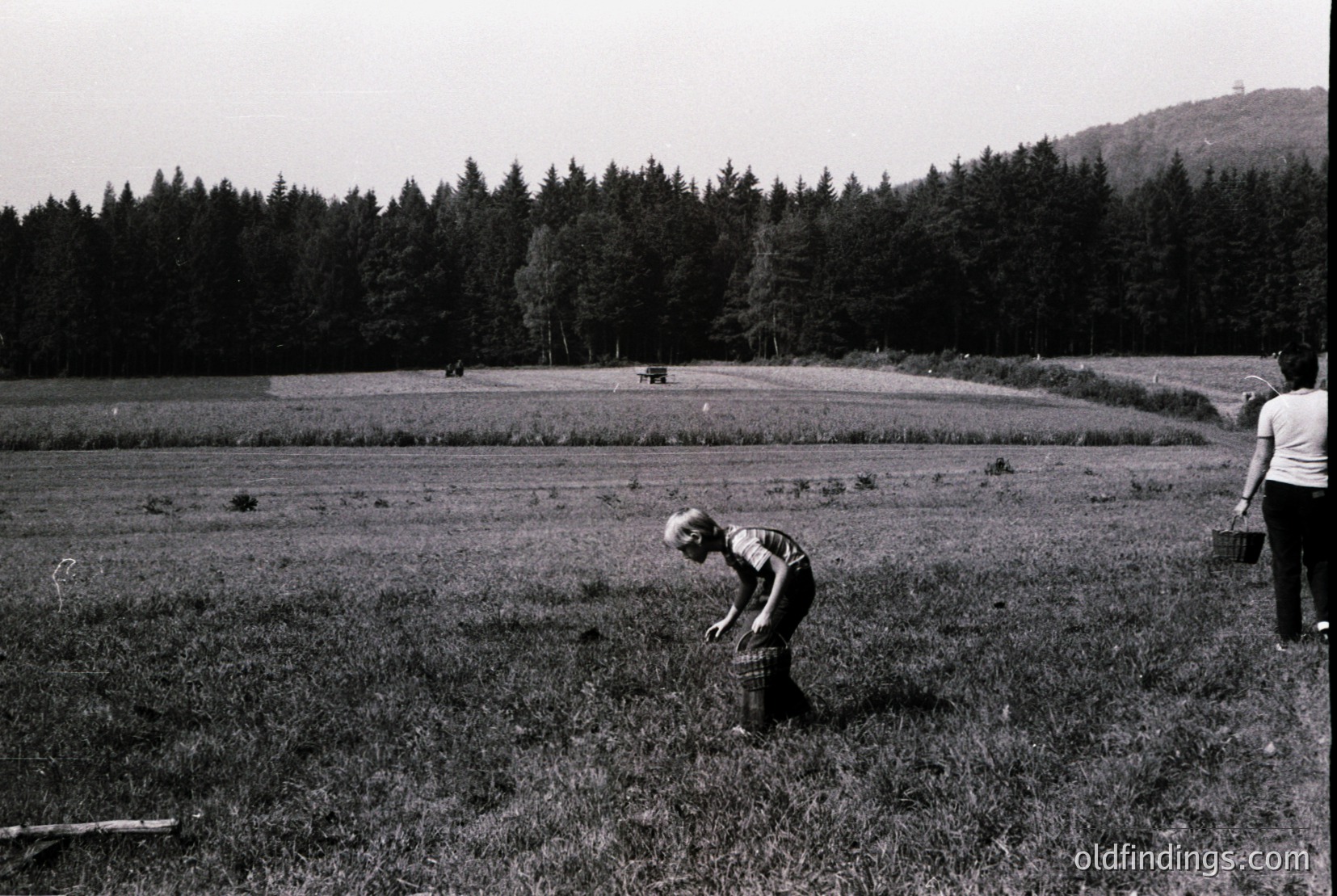 Vintage photograph