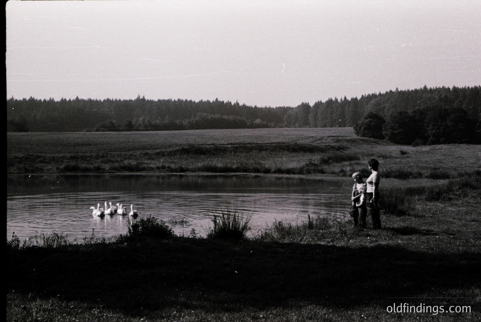 Vintage photograph