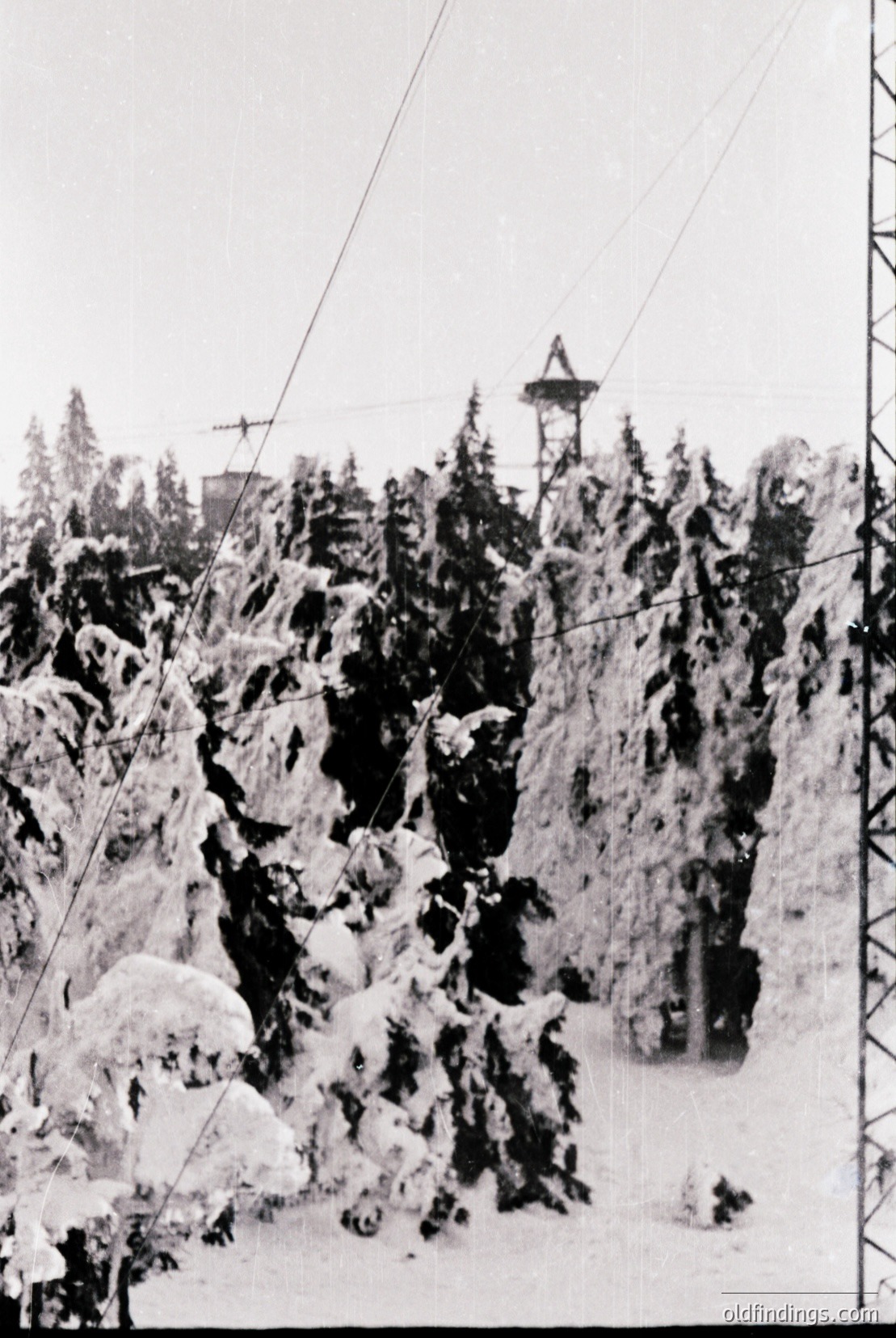 Vintage photograph