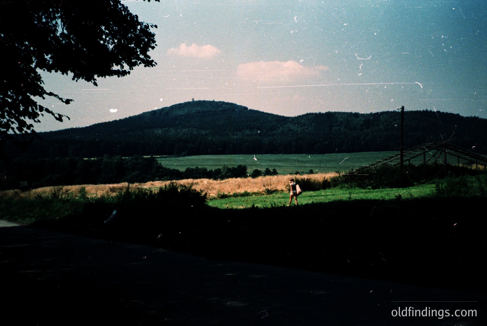 Vintage photograph