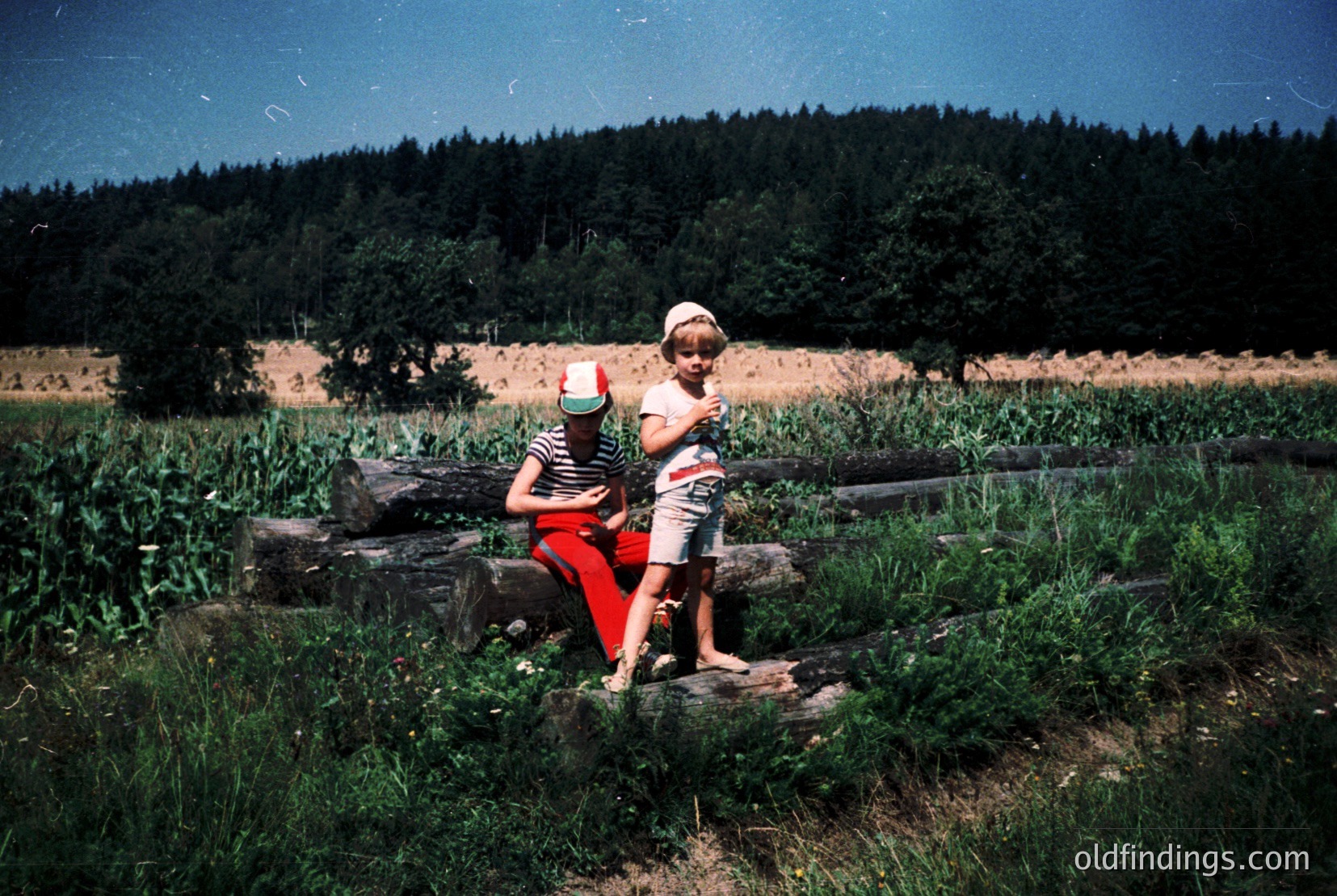 Vintage photograph