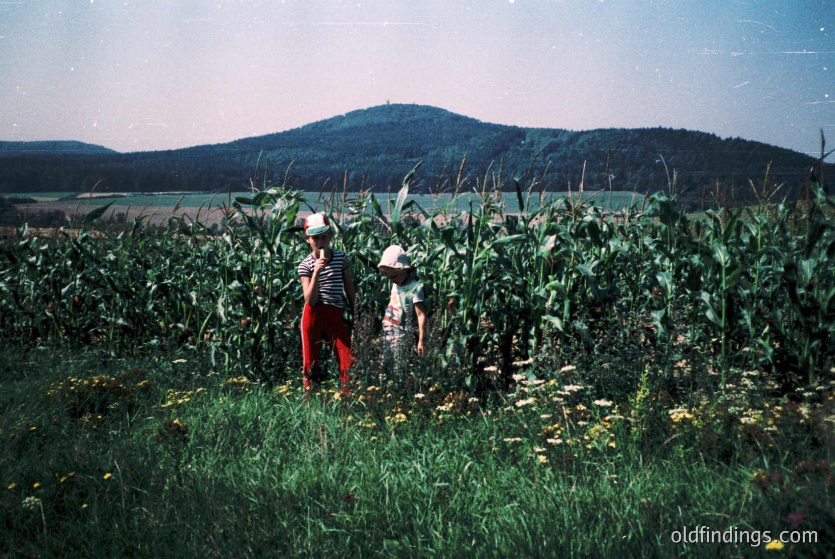 Vintage photograph