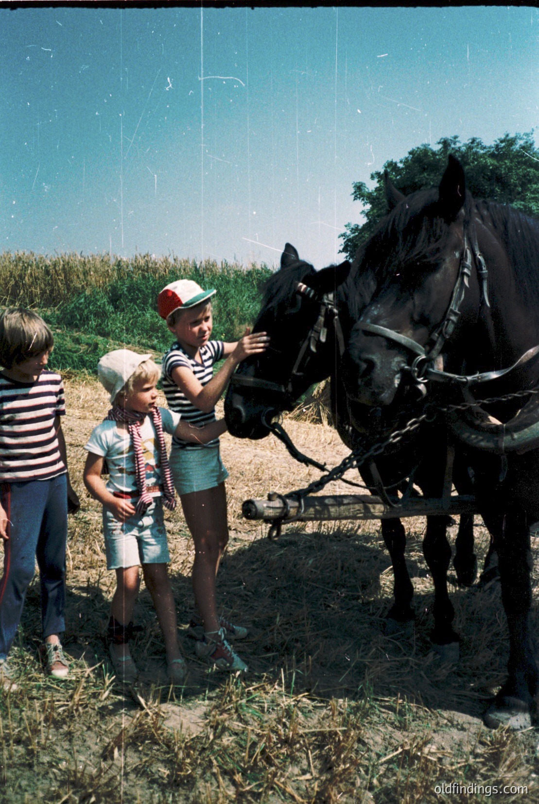 Vintage photograph