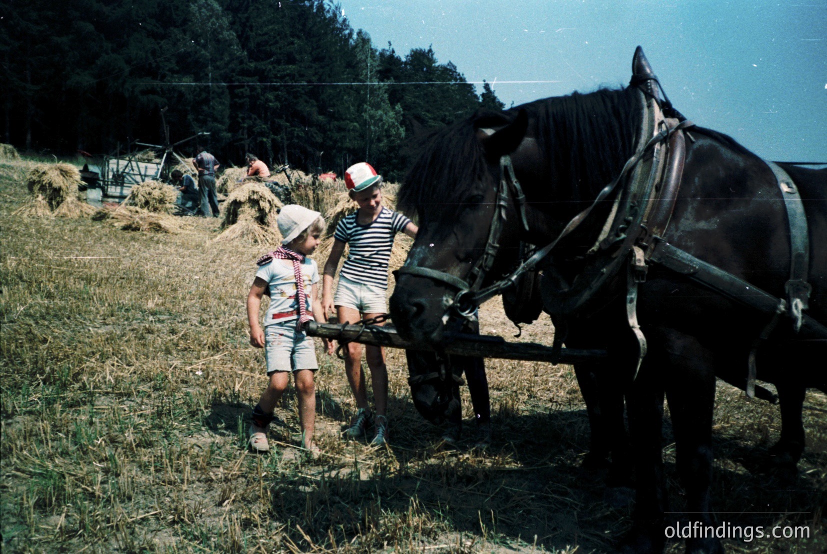 Vintage photograph