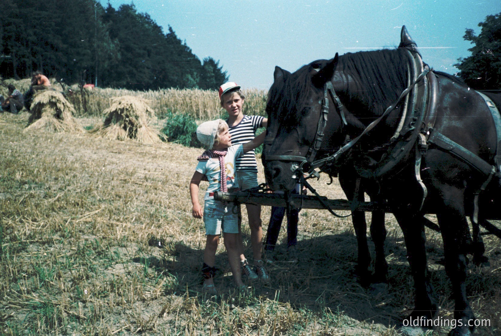 Vintage photograph