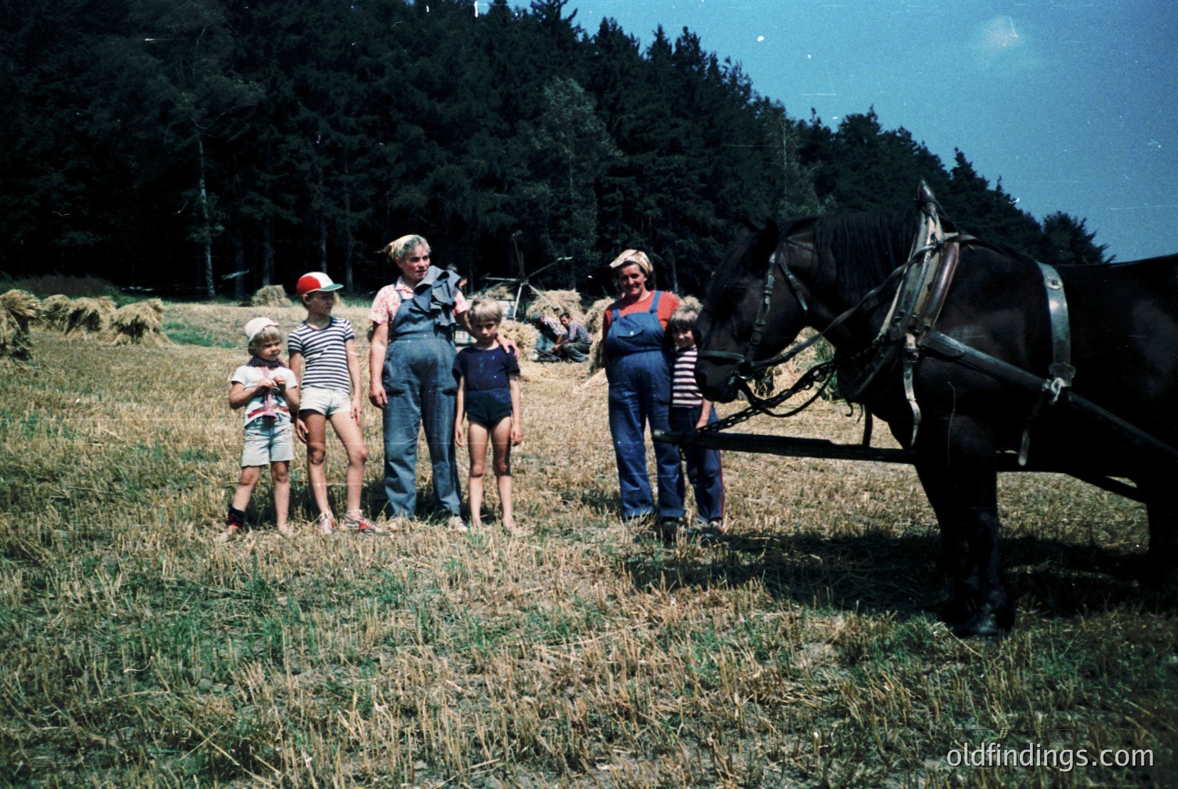 Vintage photograph