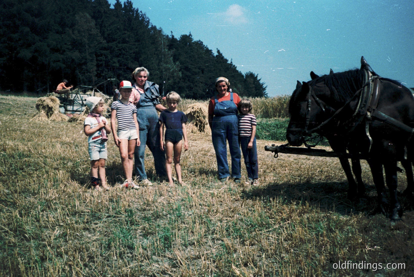 Vintage photograph