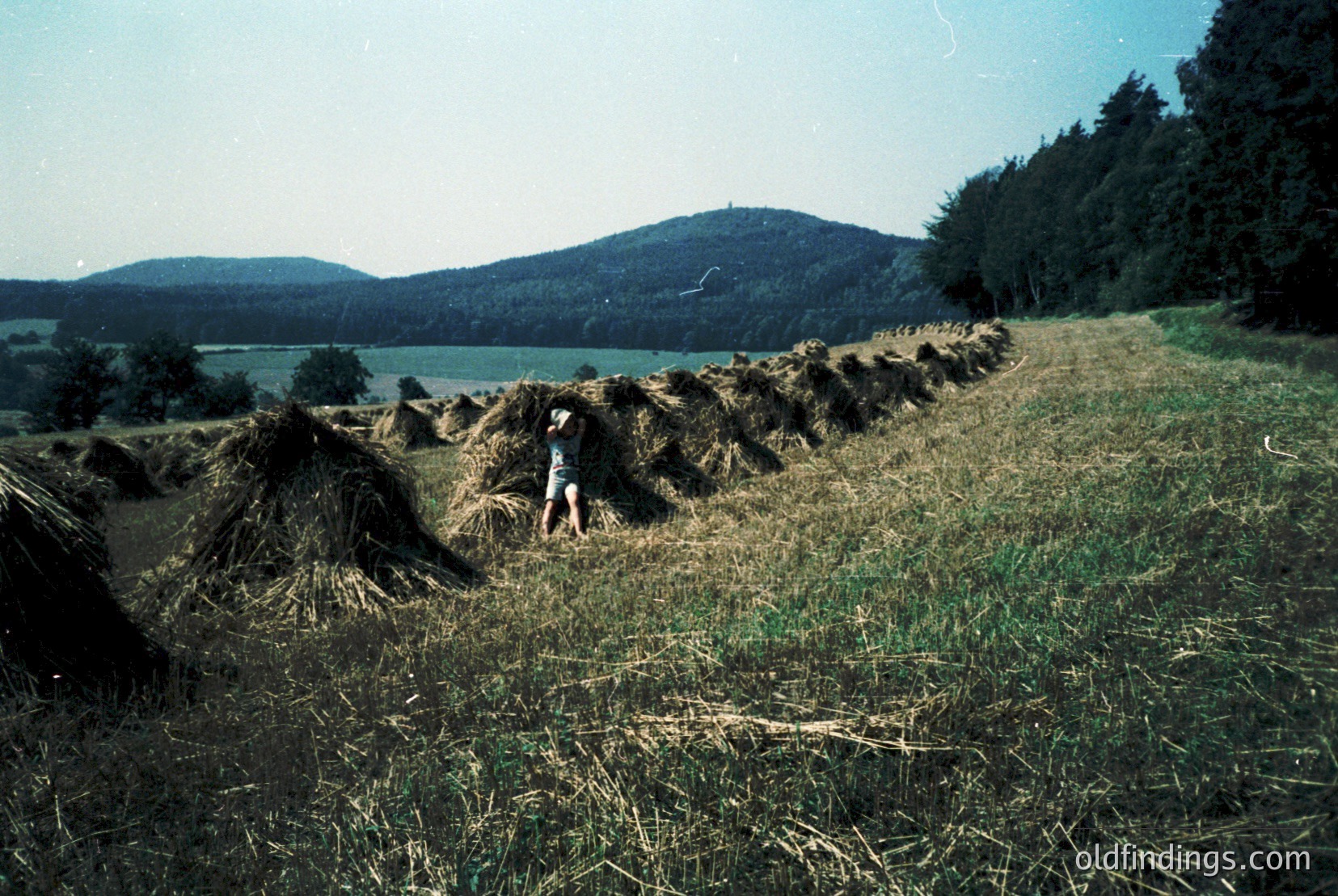 Vintage photograph
