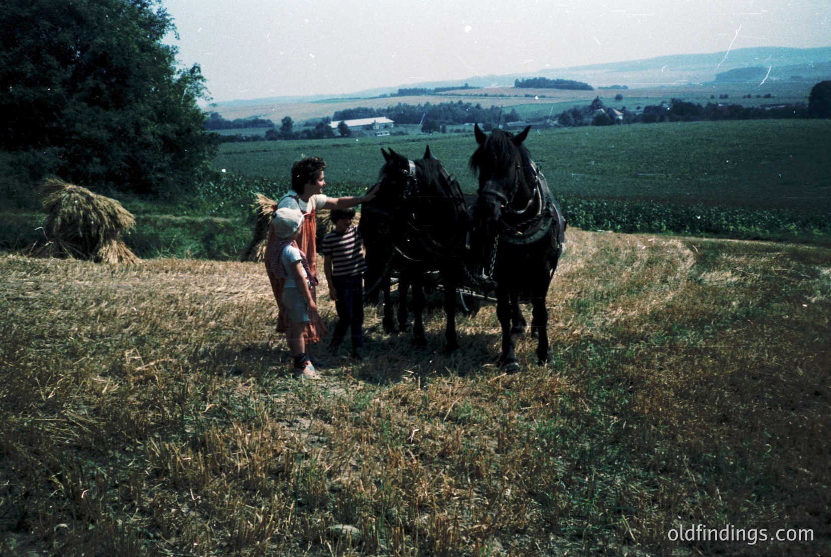 Vintage photograph