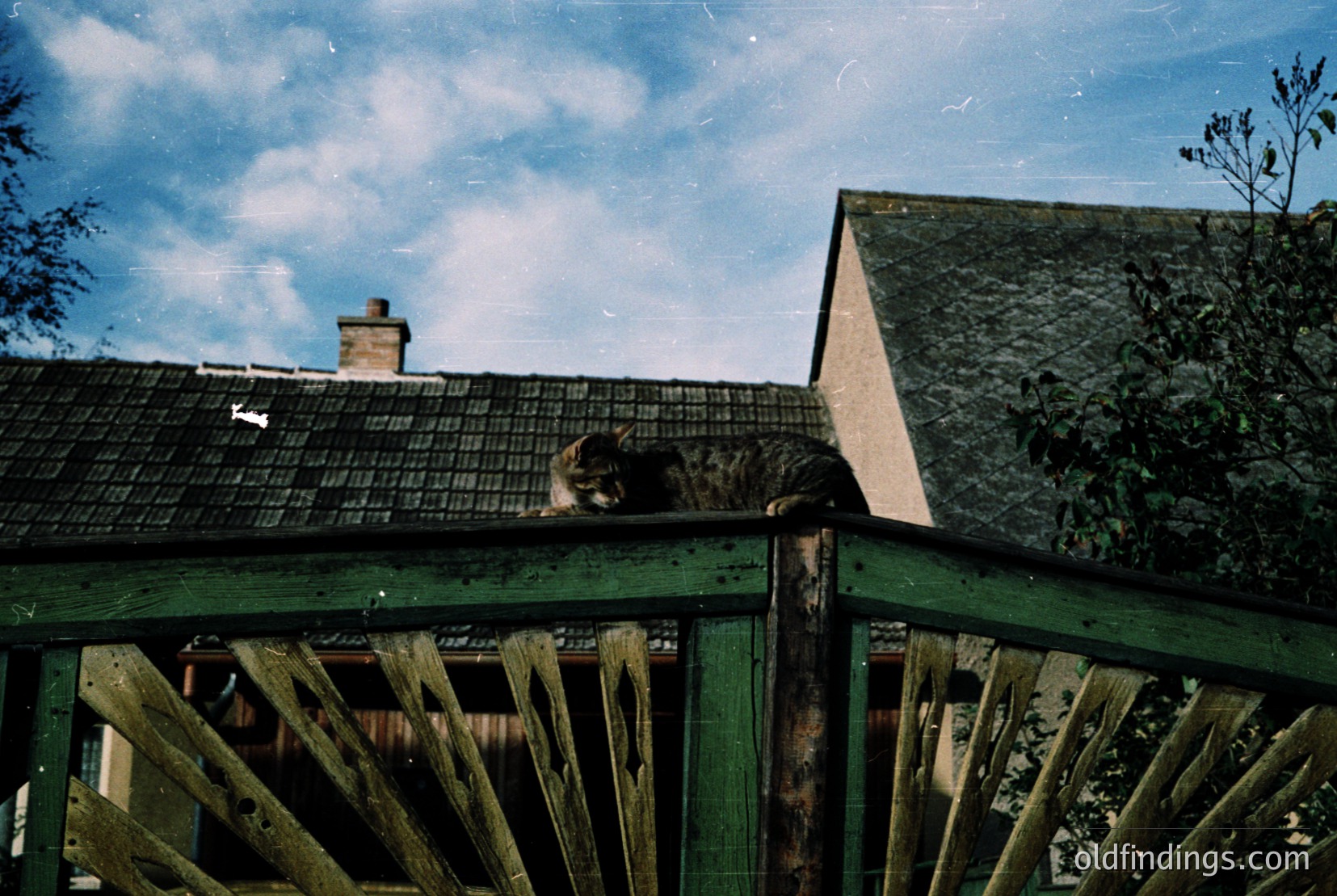 Vintage photograph