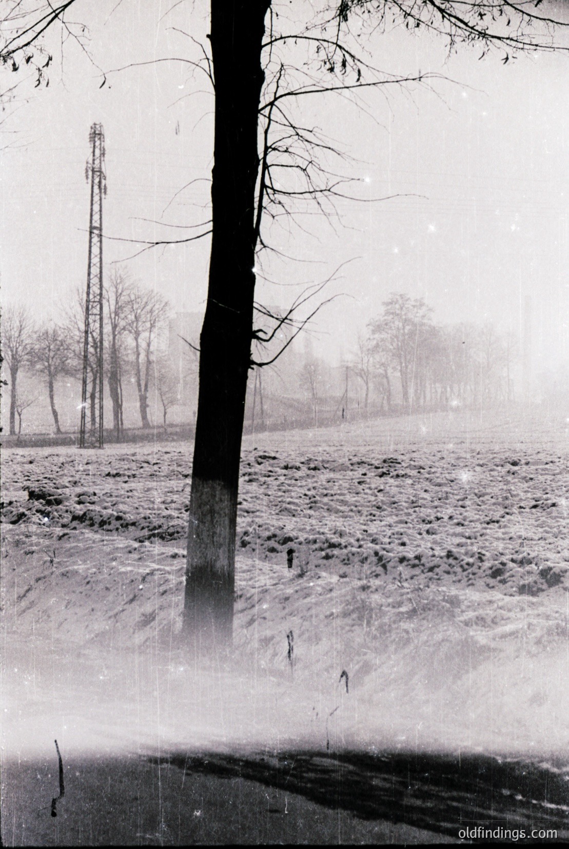 Vintage photograph