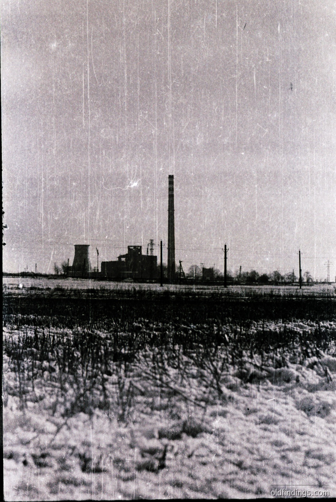 Vintage photograph