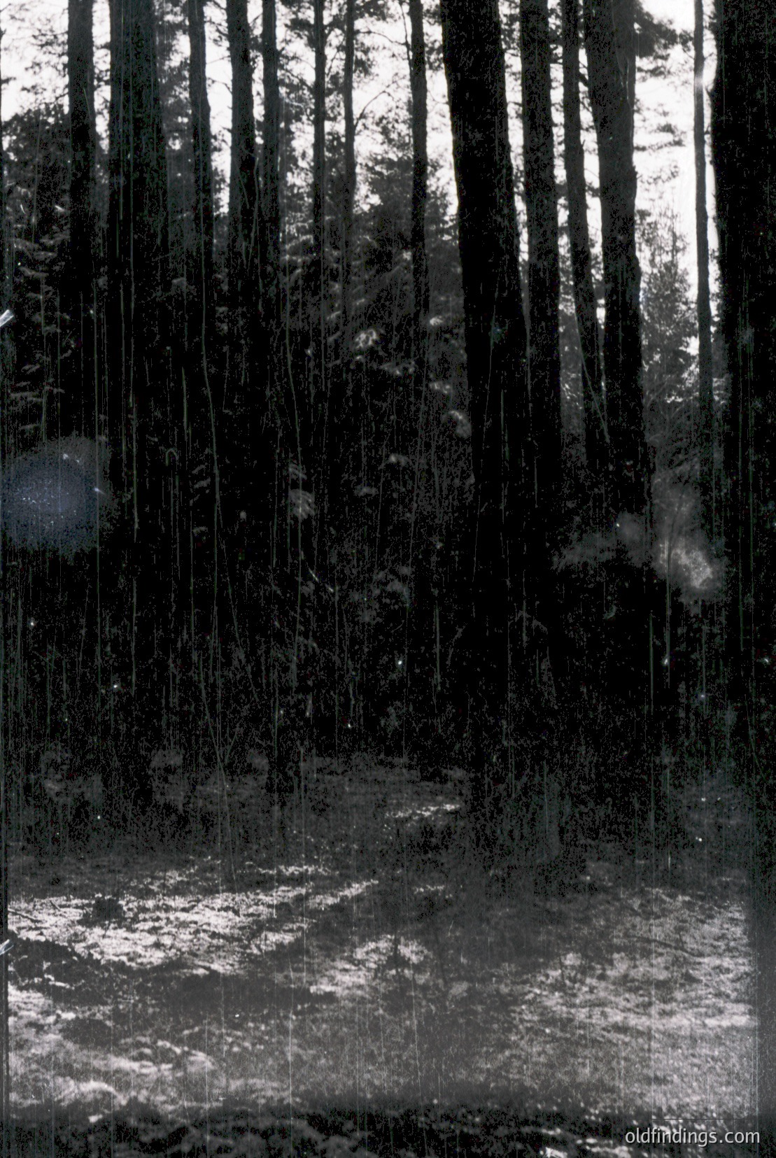 Vintage photograph