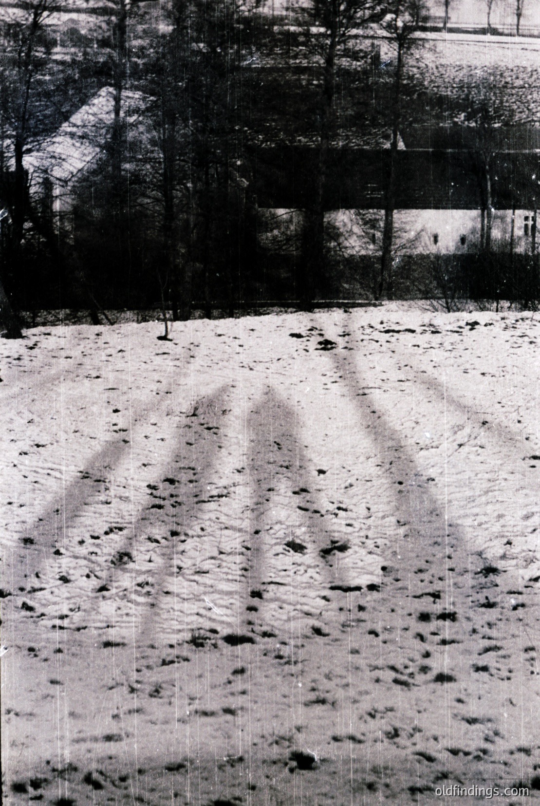 Vintage photograph