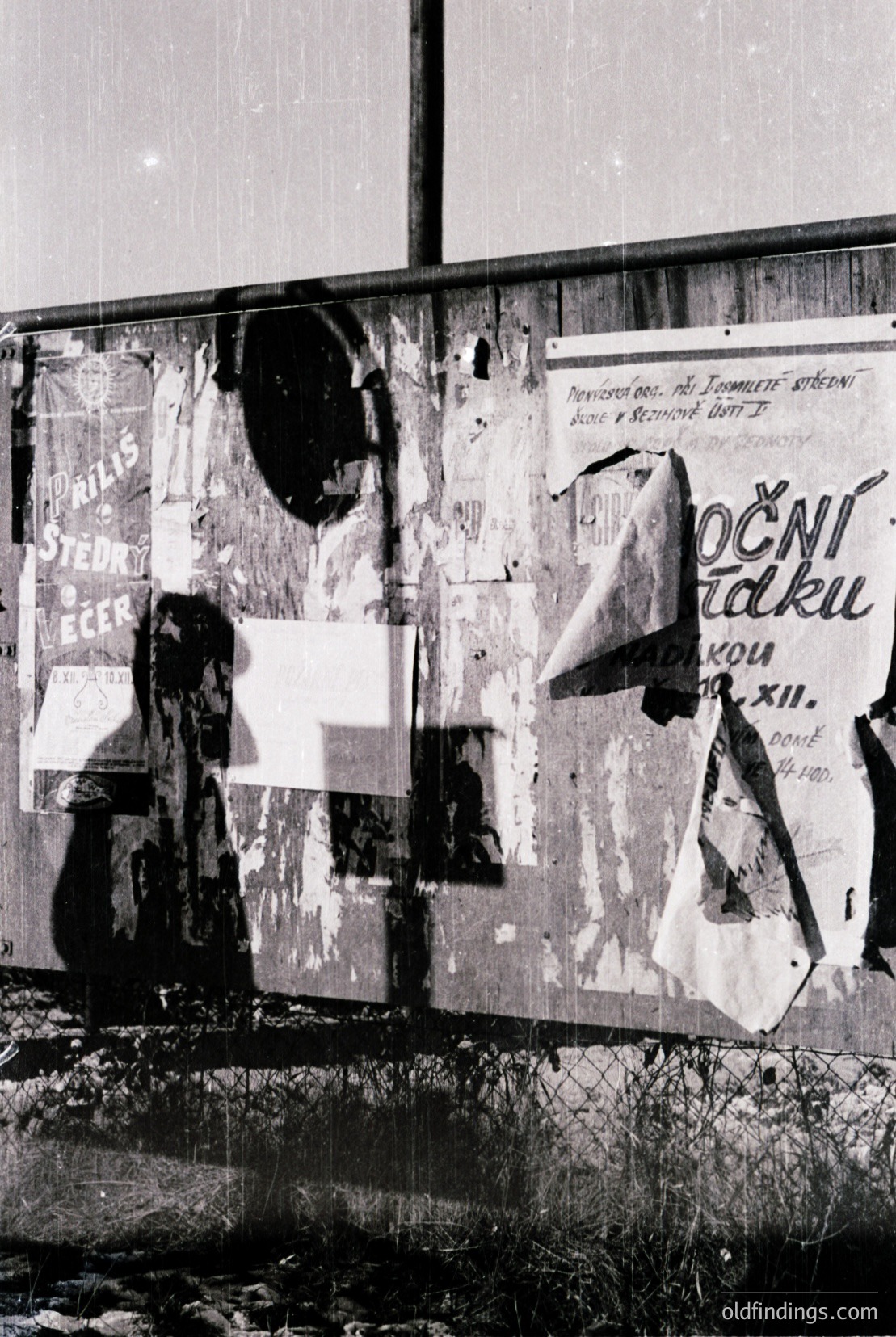 Vintage photograph