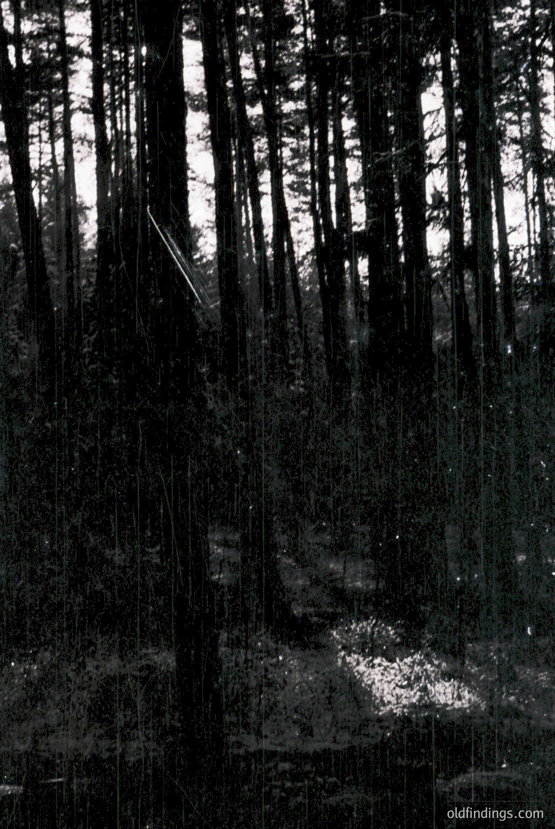 Vintage photograph