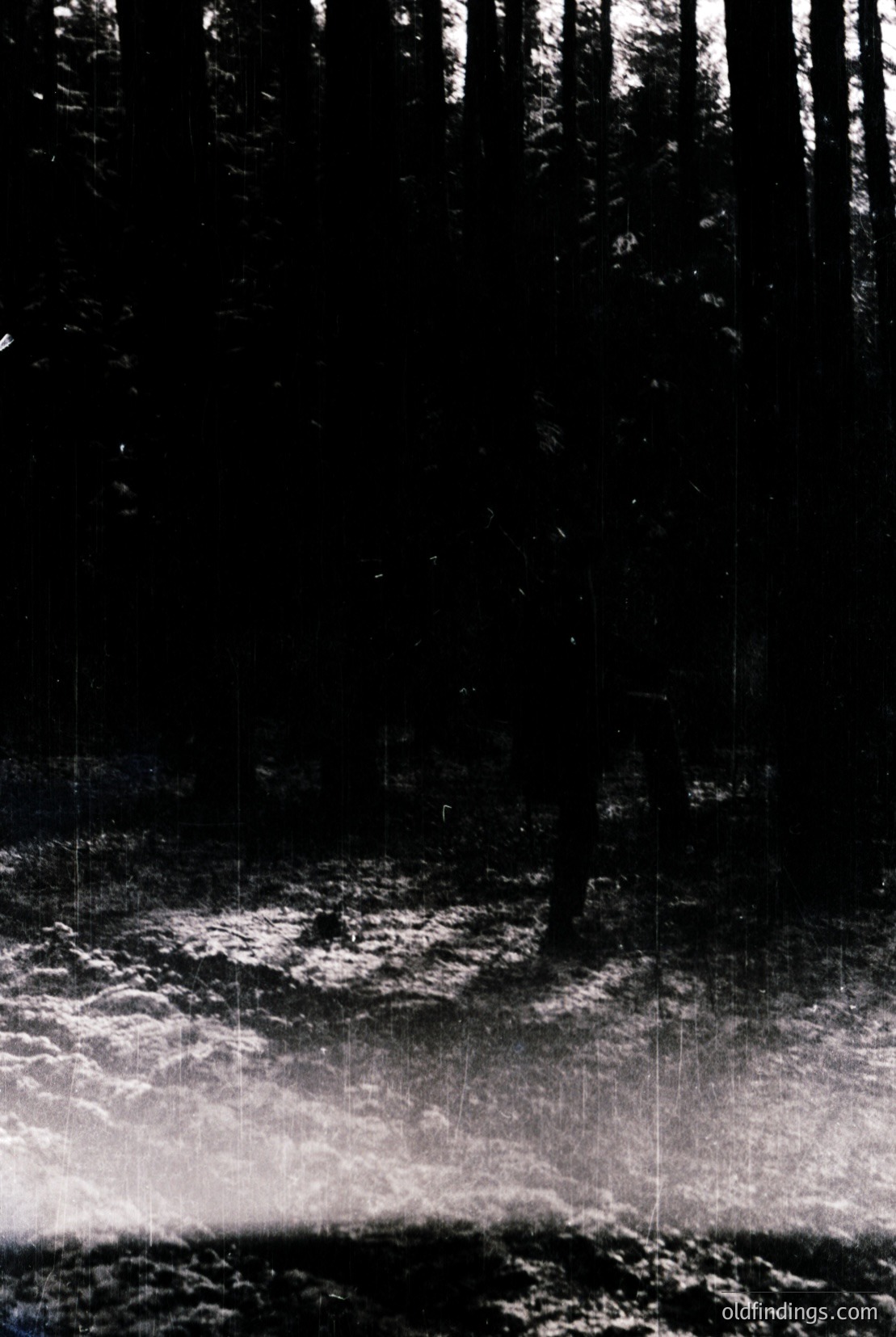 Vintage photograph