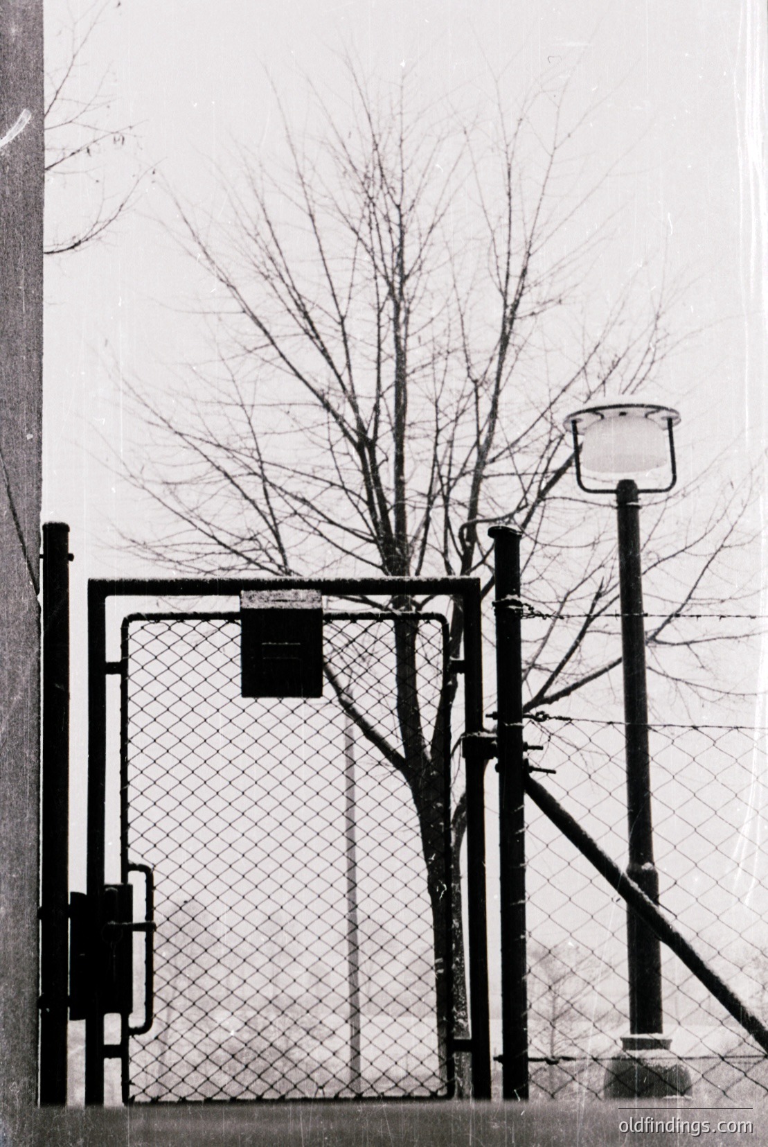 Vintage photograph