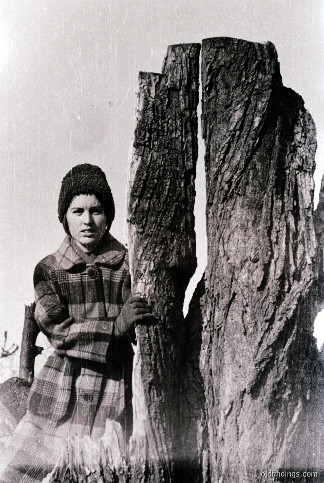 Vintage photograph
