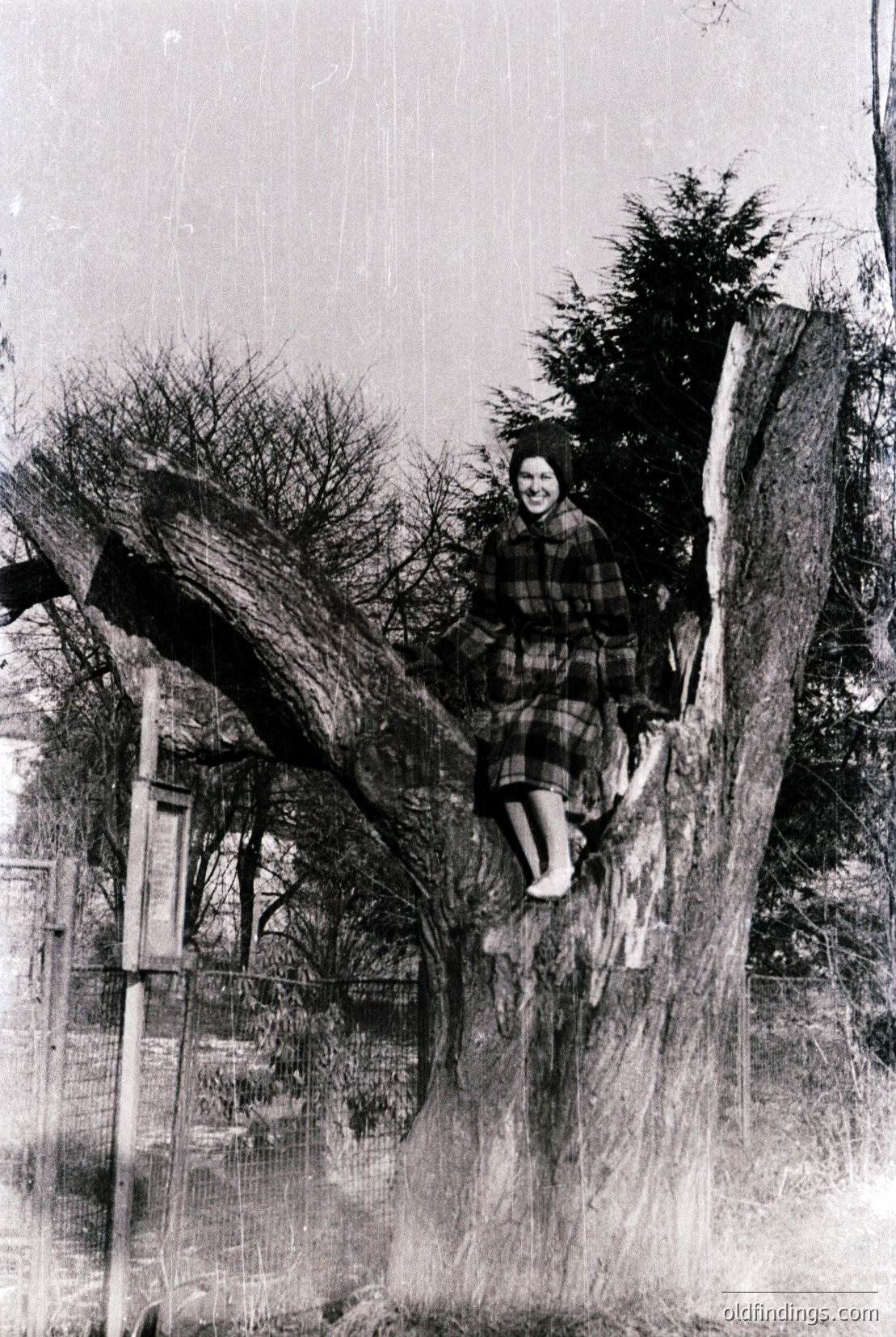 Vintage photograph