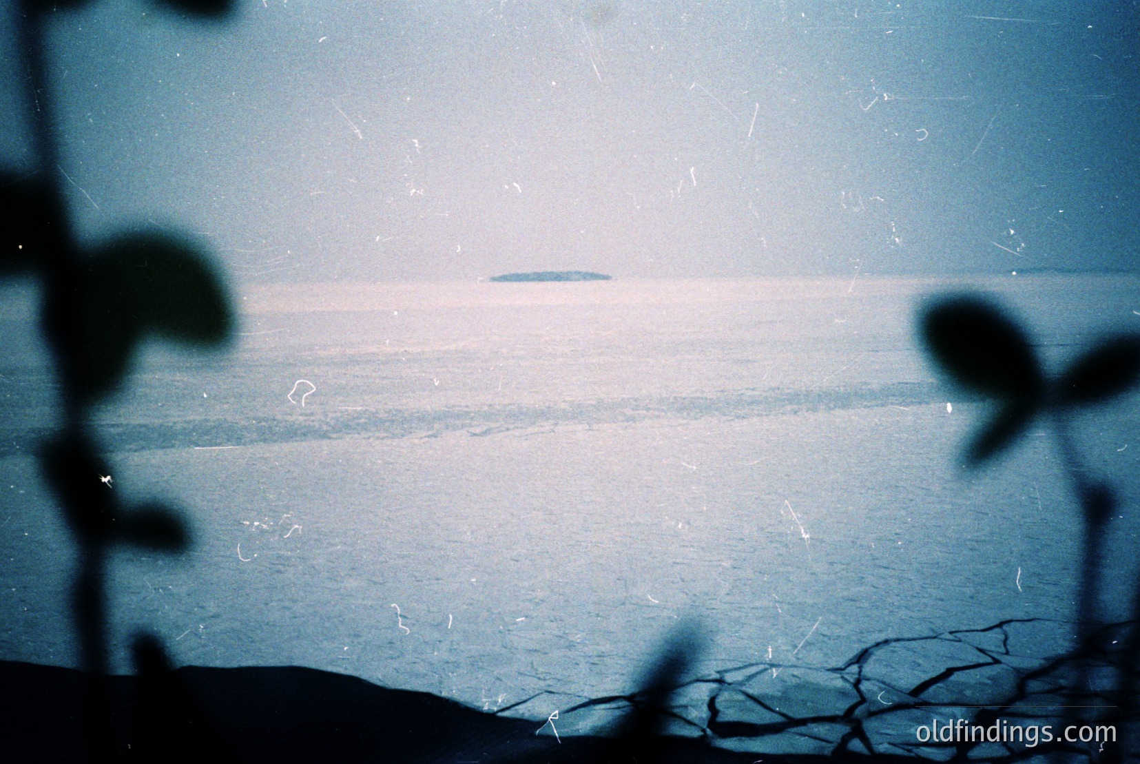 Vintage photograph