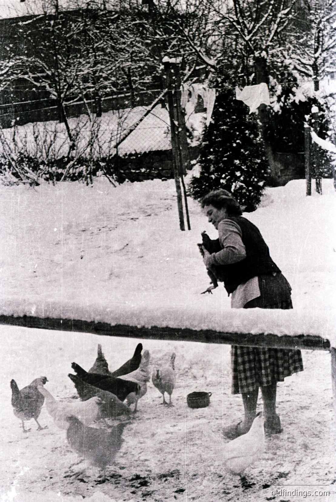 Vintage photograph
