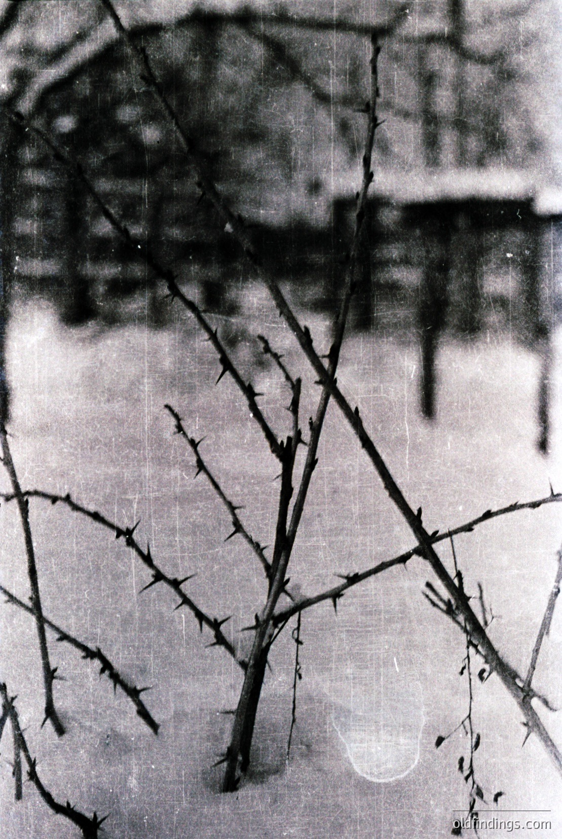Vintage photograph