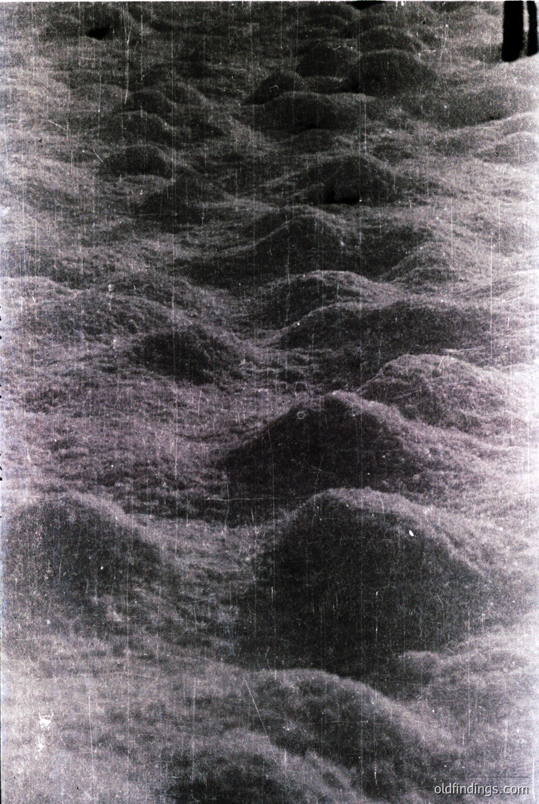 Vintage photograph