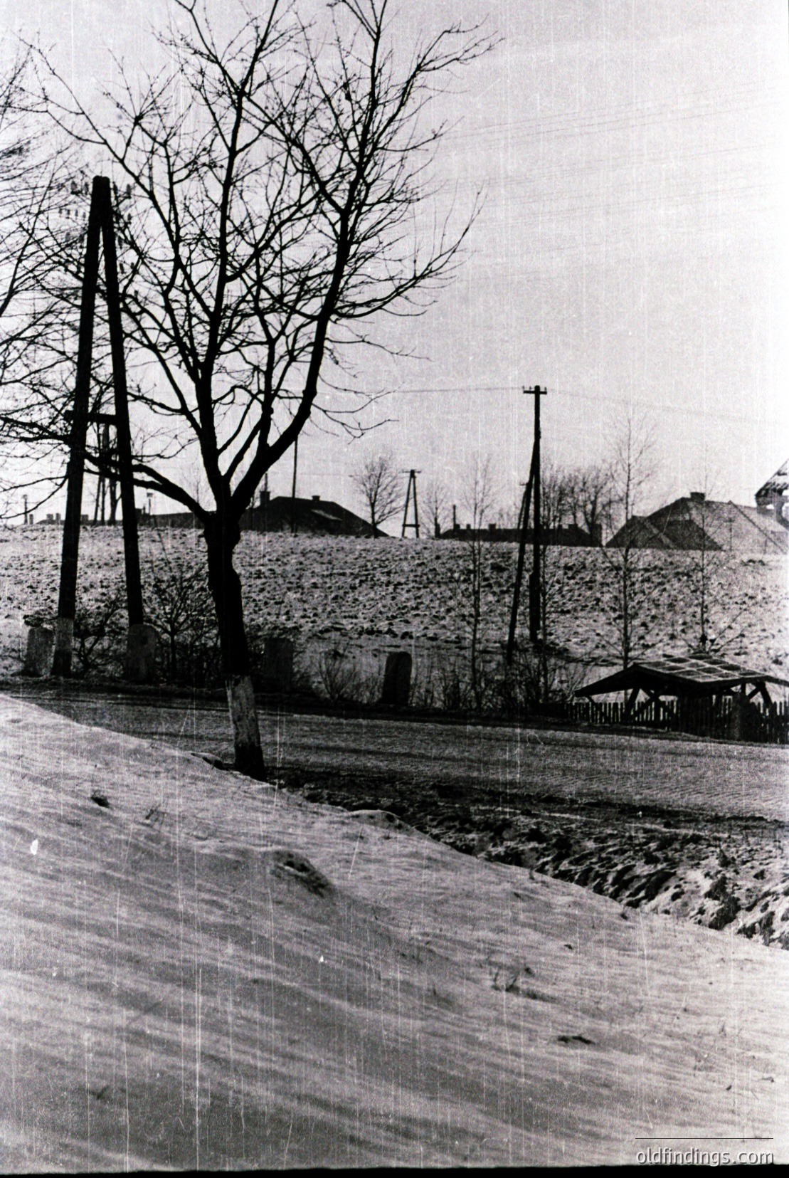 Vintage photograph